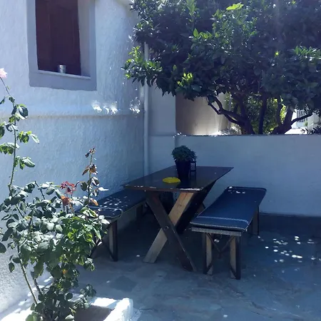 Magnolia Senses Kini