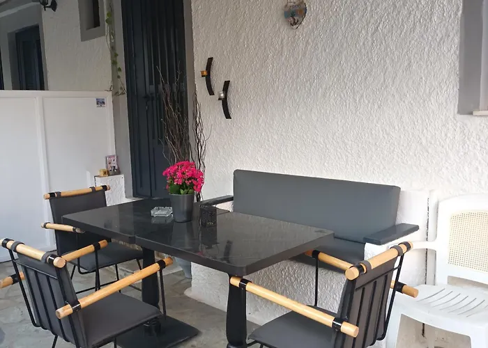 Magnolia Senses Kini