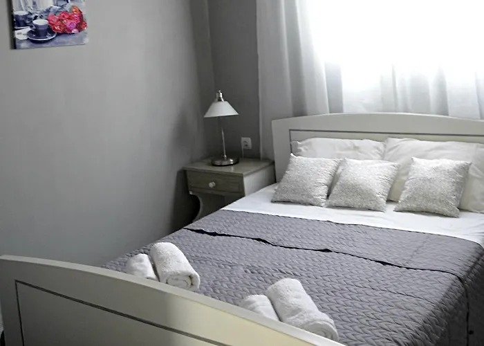 Magnolia Senses Kini