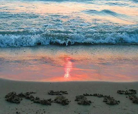 Apartamento Magnolia Senses *