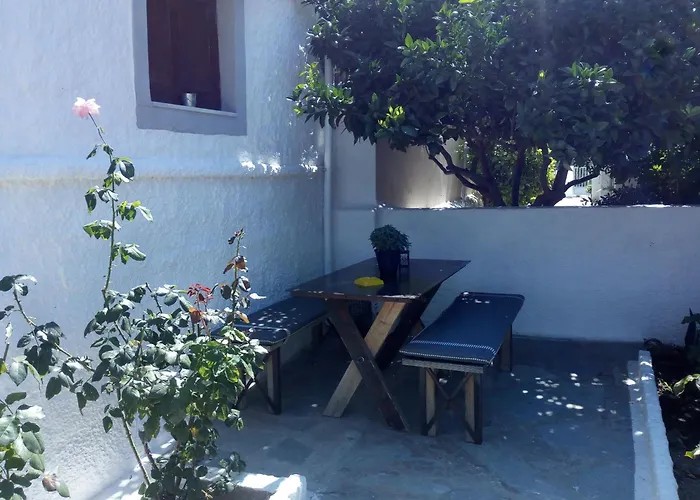 Magnolia Senses Kini