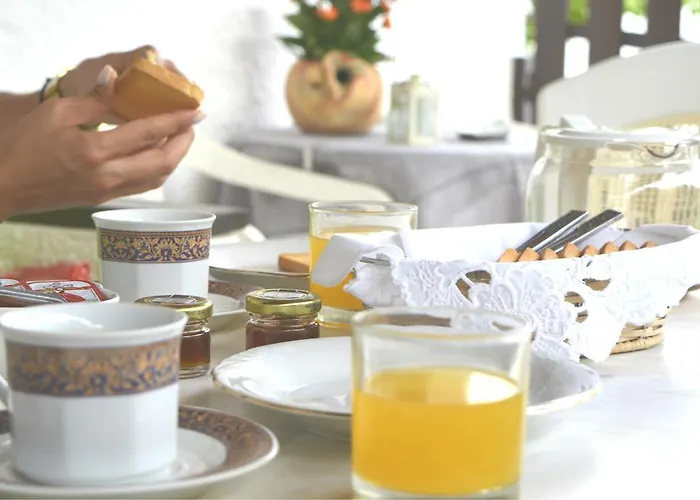 Magnolia Senses 키니언